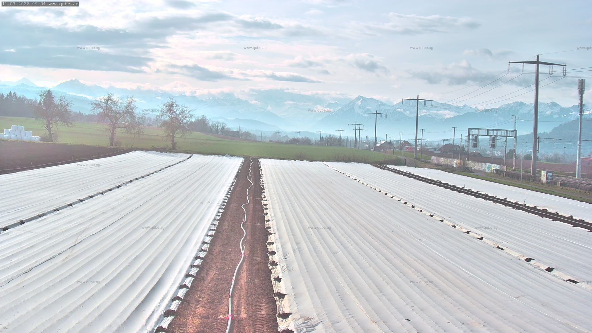 Rubigen: Sicht in Richtung Berner Oberland
