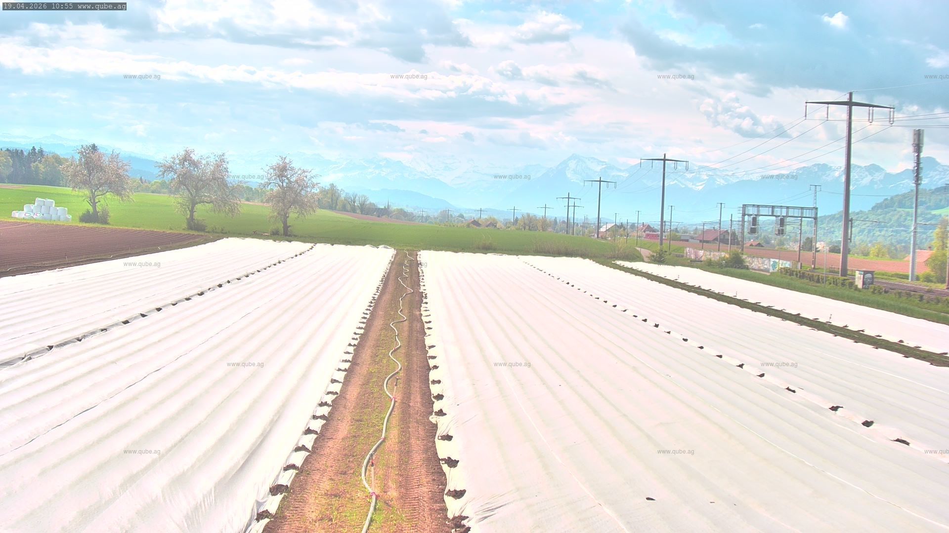 Rubigen: Sicht in Richtung Berner Oberland