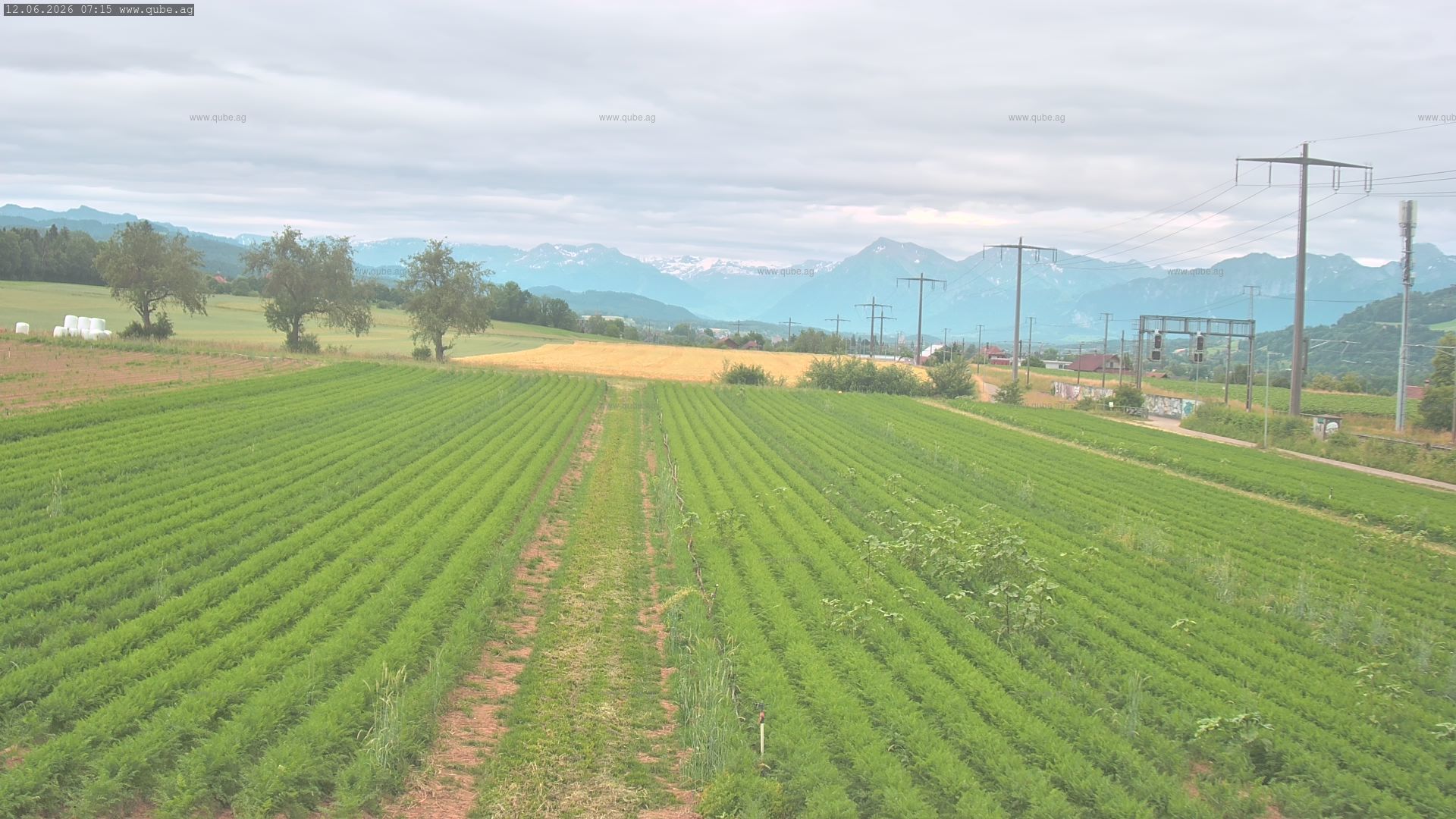 Rubigen: Sicht in Richtung Berner Oberland