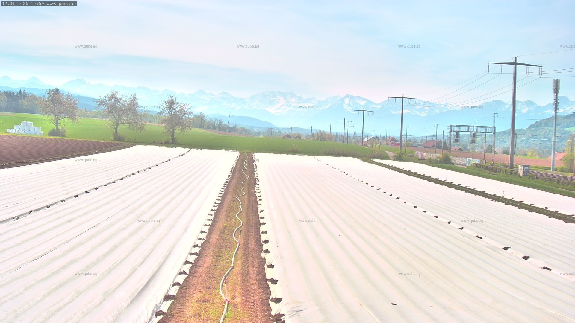 Rubigen: Sicht in Richtung Berner Oberland