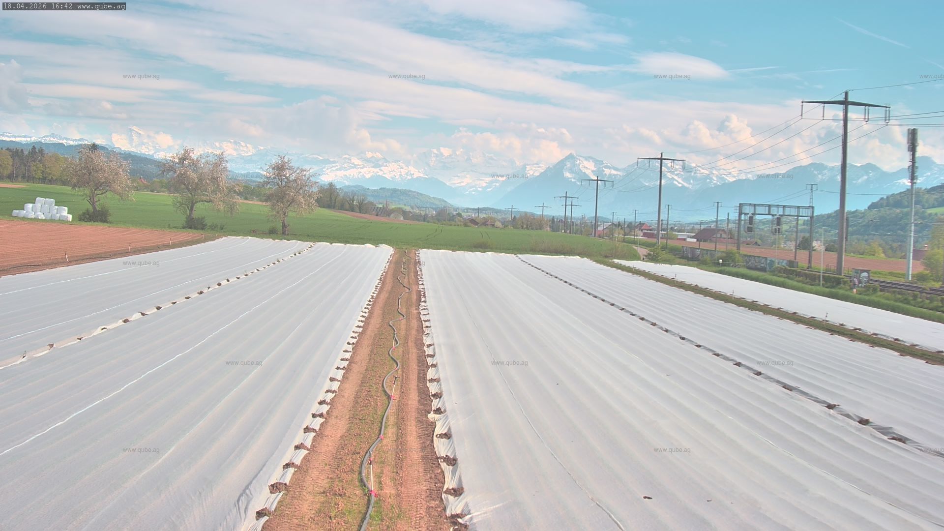 Rubigen: Sicht in Richtung Berner Oberland