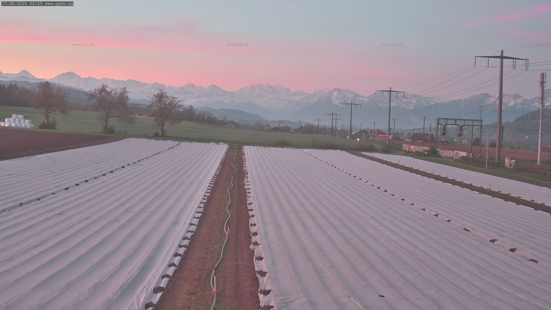 Rubigen: Sicht in Richtung Berner Oberland