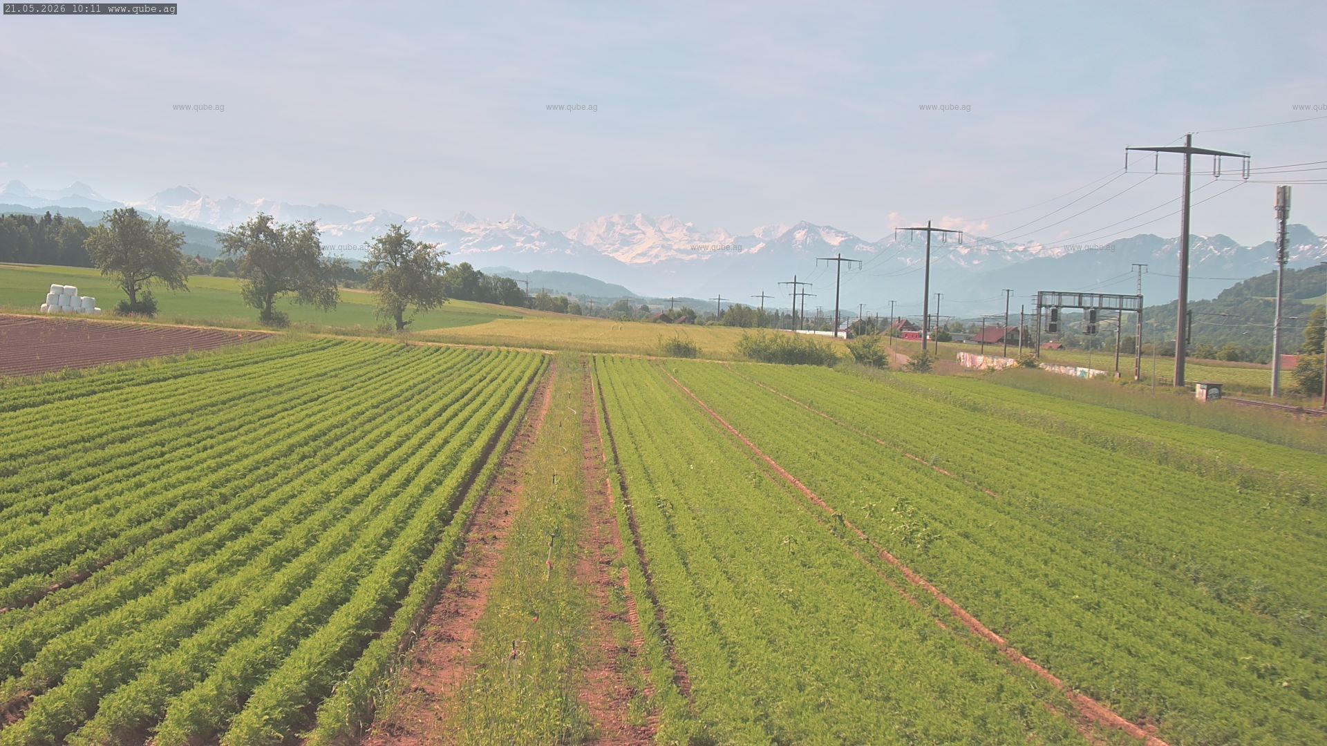 Rubigen: Sicht in Richtung Berner Oberland