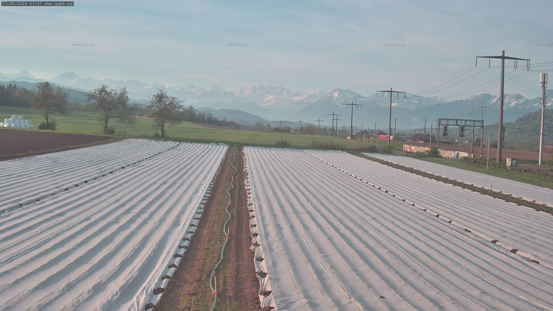 Rubigen: Sicht in Richtung Berner Oberland
