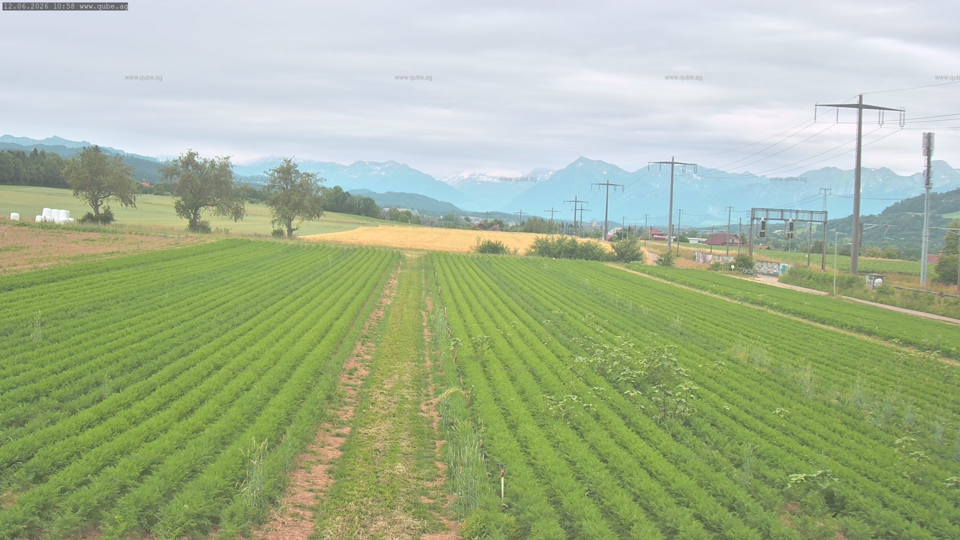Rubigen: Sicht in Richtung Berner Oberland