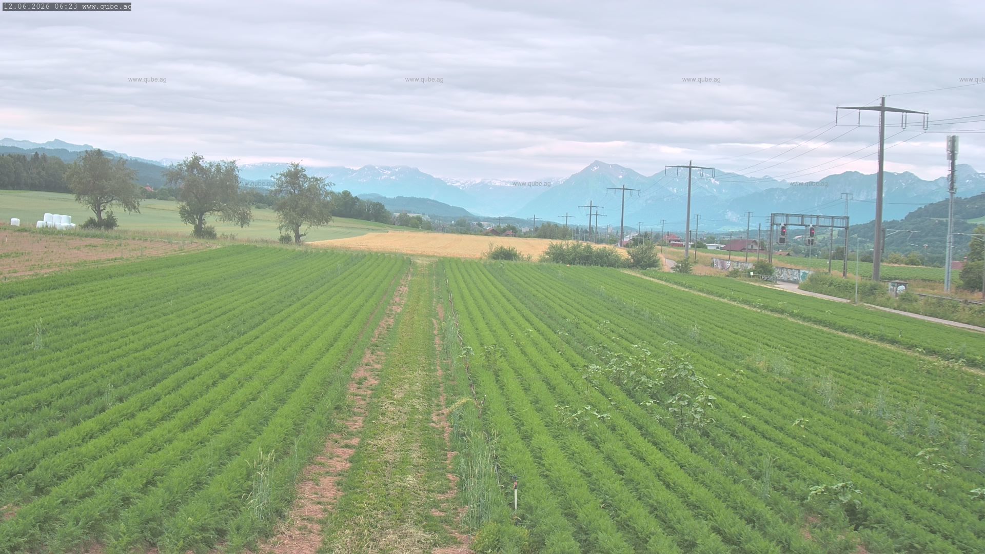 Rubigen: Sicht in Richtung Berner Oberland