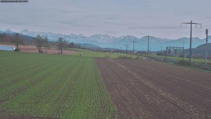 Rubigen: Sicht in Richtung Berner Oberland