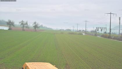 Rubigen: Sicht in Richtung Berner Oberland