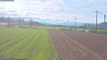 Rubigen: Sicht in Richtung Berner Oberland