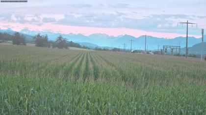 Rubigen: Sicht in Richtung Berner Oberland