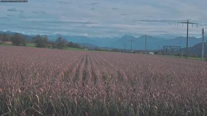 Rubigen: Sicht in Richtung Berner Oberland