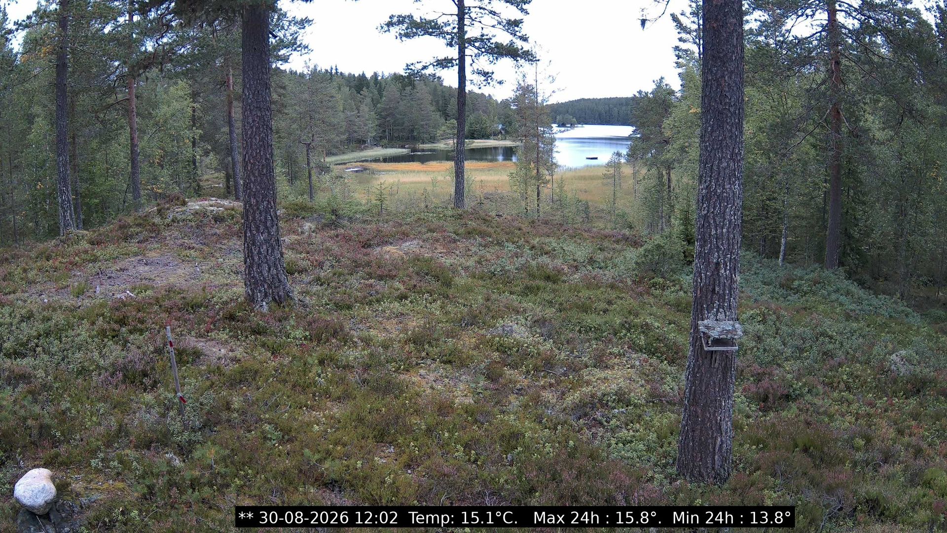 Traffic Cam Bjoneroa › North-East: Svarttjern