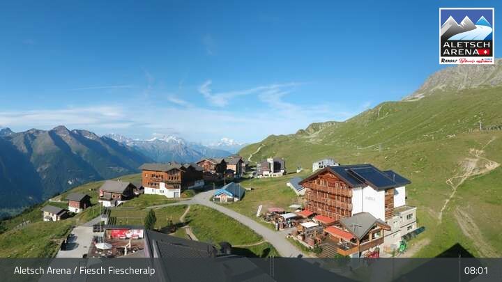 Fiesch › Südwesten: Schweizer Skischule Fiesch - Ferienwohnung Nowak Chalet Fiescheralp Adlerhorst Kühboden