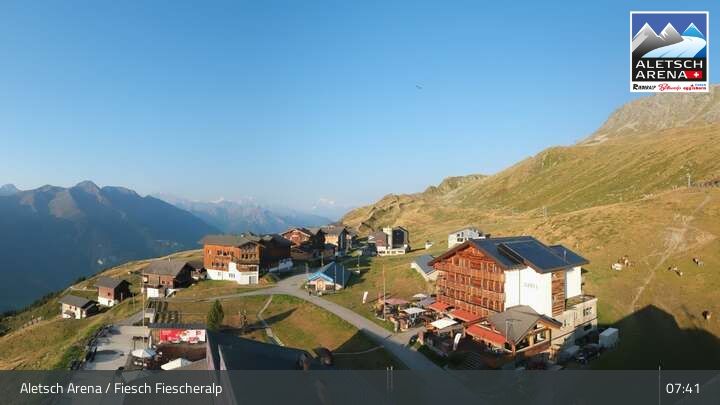 Fiesch › Südwesten: Schweizer Skischule Fiesch - Ferienwohnung Nowak Chalet Fiescheralp Adlerhorst Kühboden