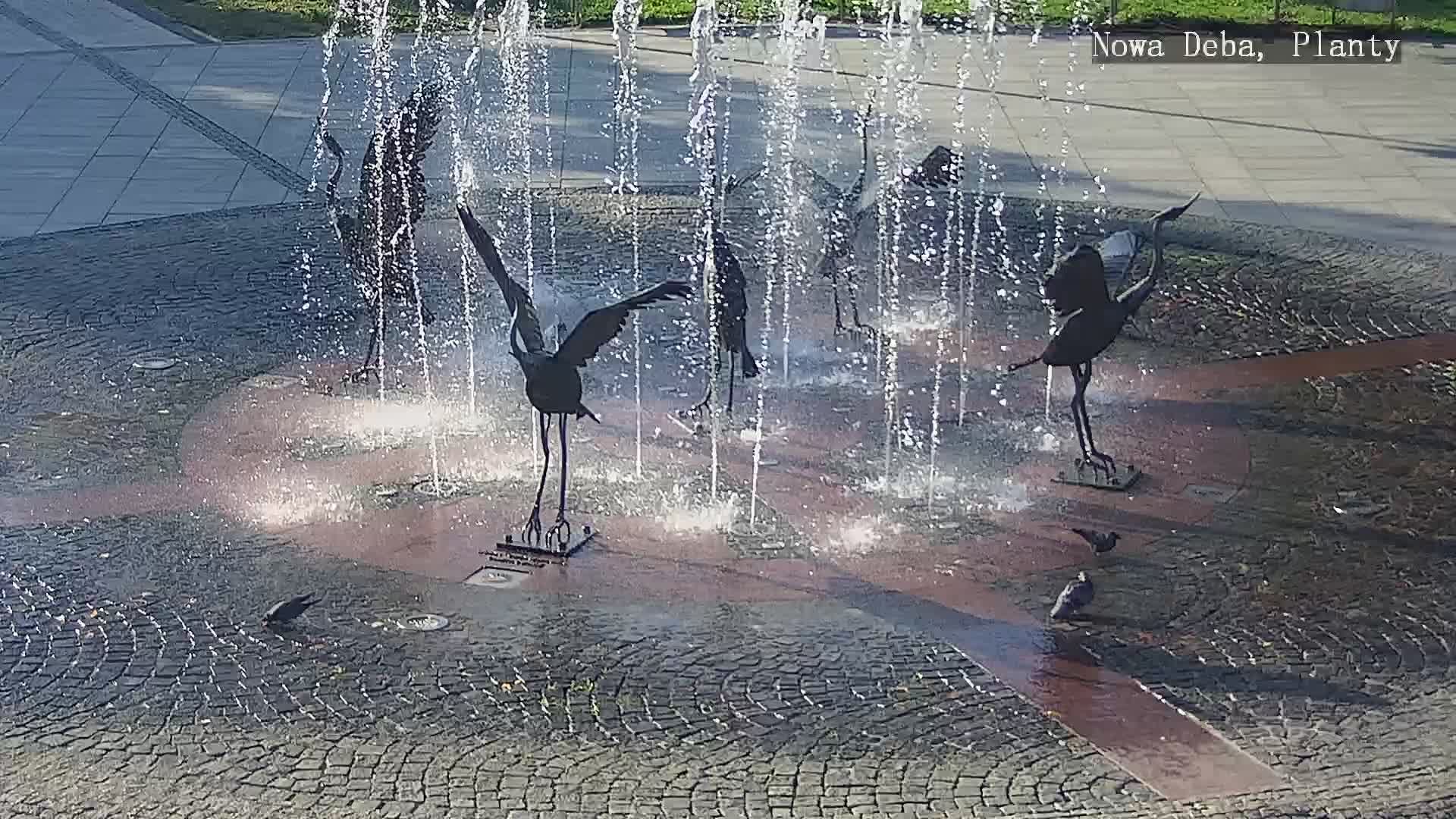 Traffic Cam Nowa Deba: Rzeczpospolita