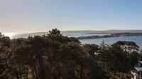 Poole › South-East