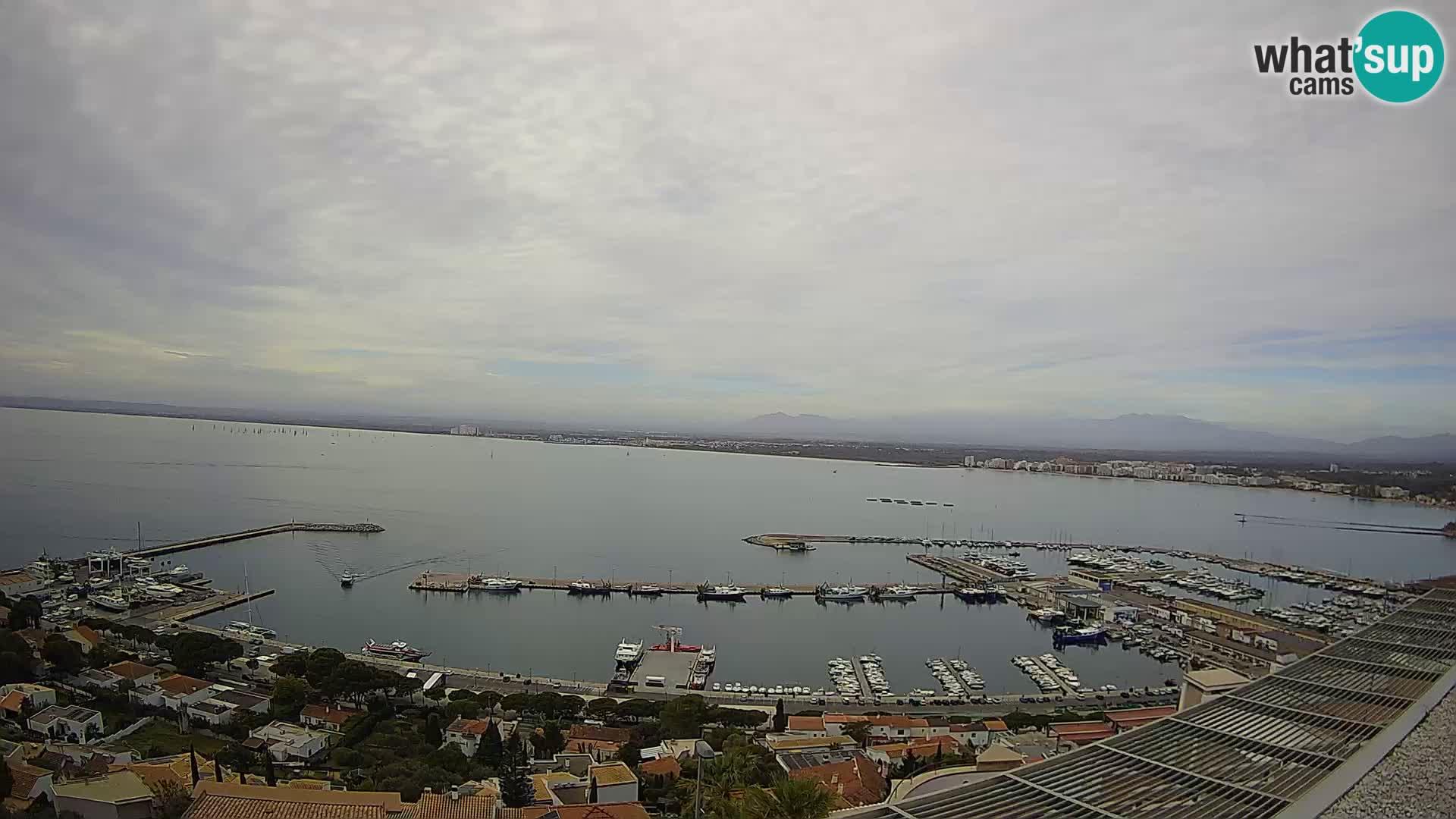 Webcam Roses 7 Ampliar imagen