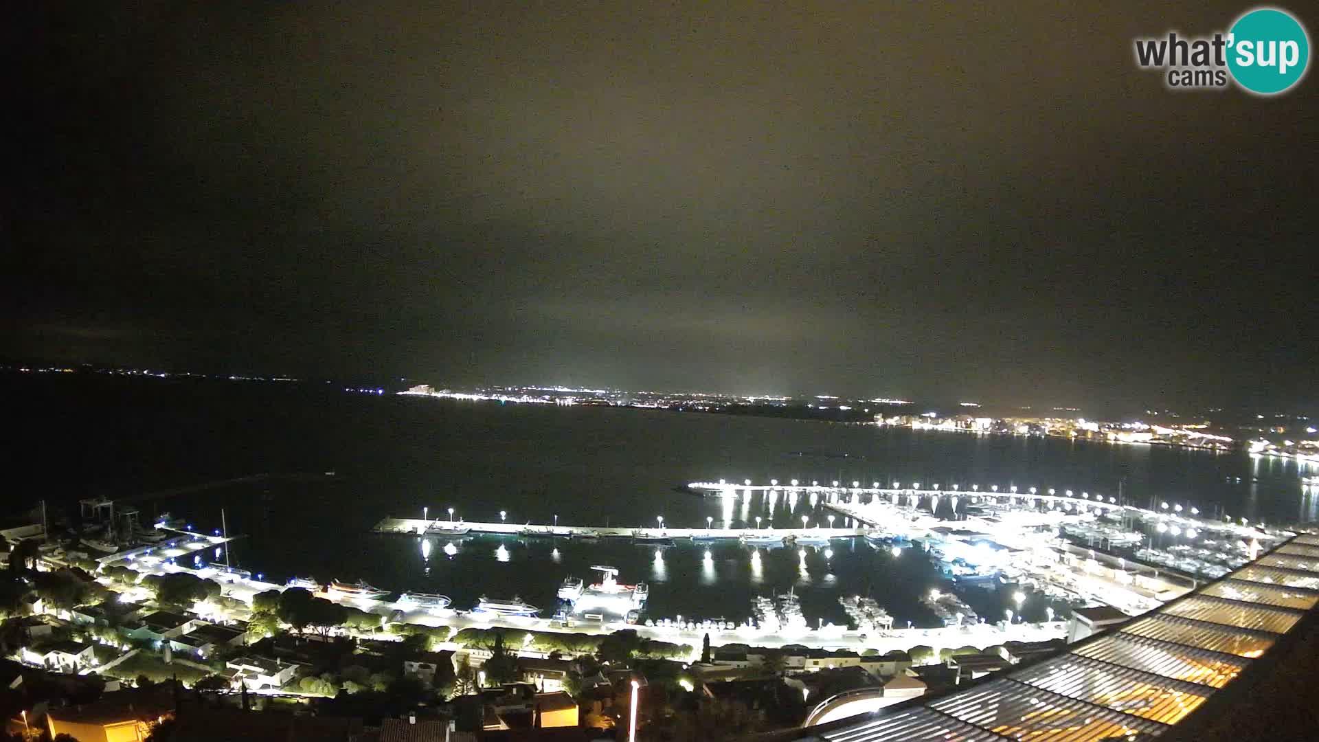 Webcam Roses 7 Ampliar imagen