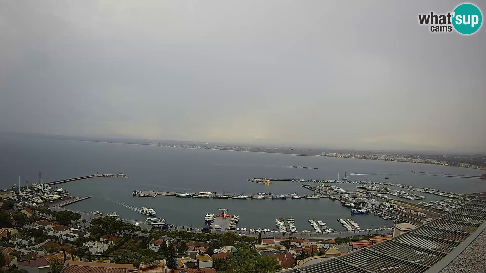 Webcam Roses 7 Ampliar imagen