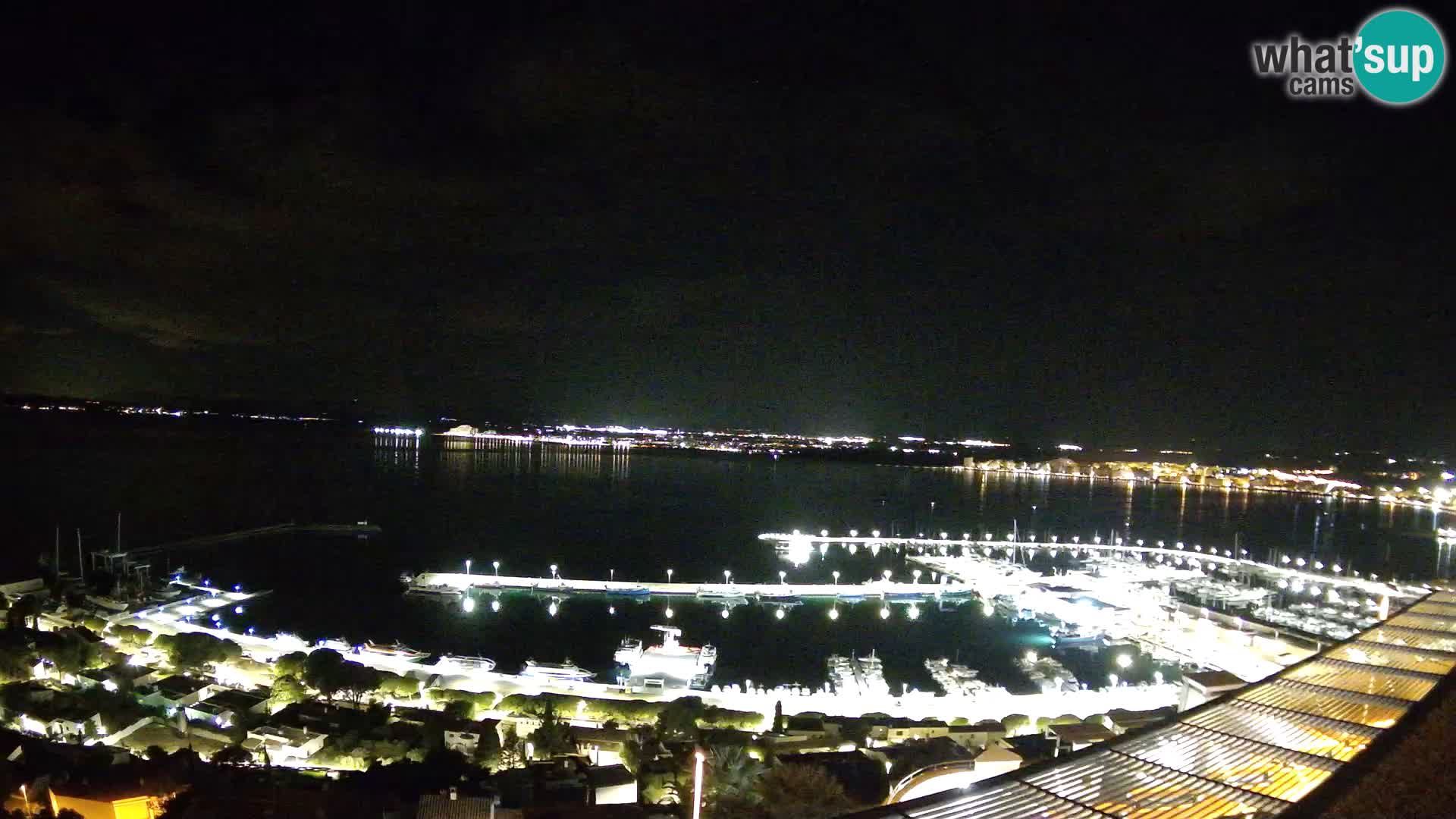 Webcam Roses 7 Ampliar imagen