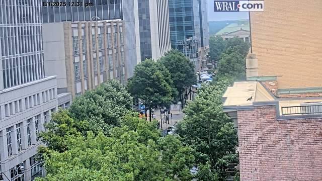 Cary during daytime