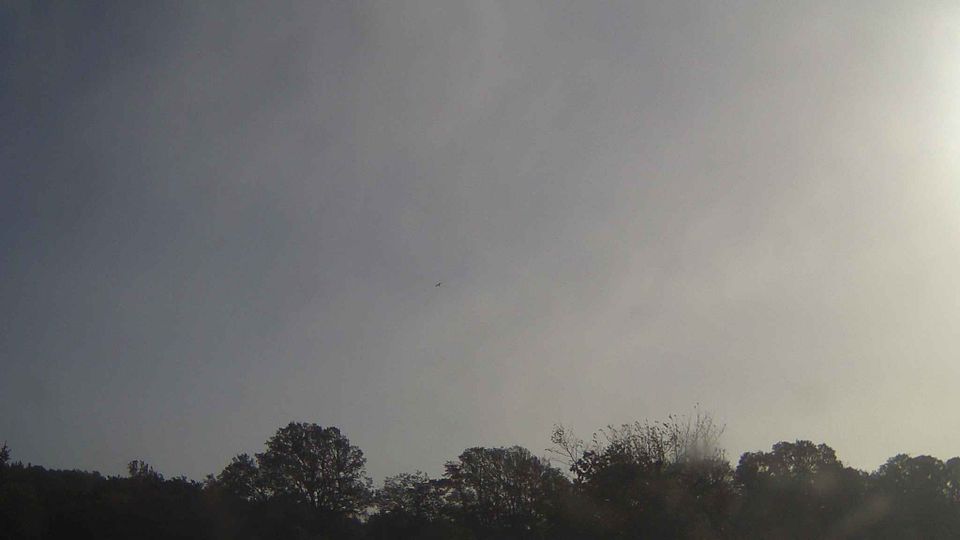 Newtownabbey webcam