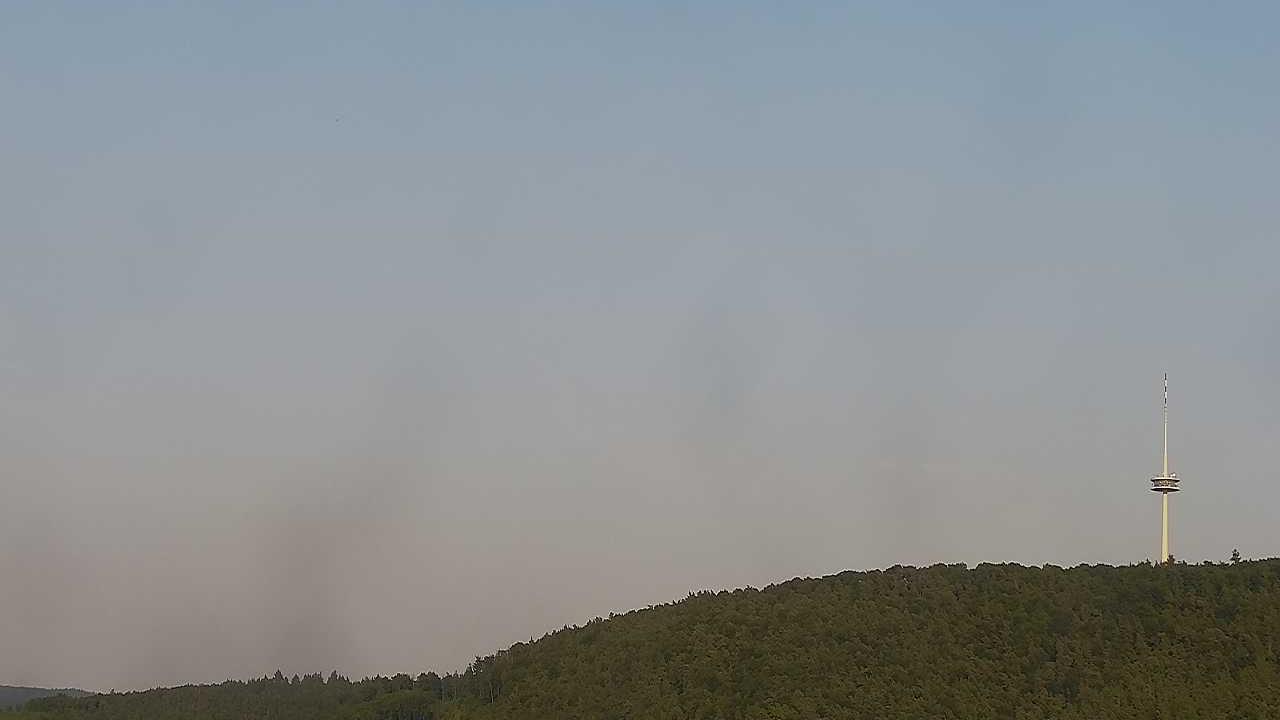 Wolken forest Webcam