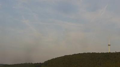 Wolken forest webcam