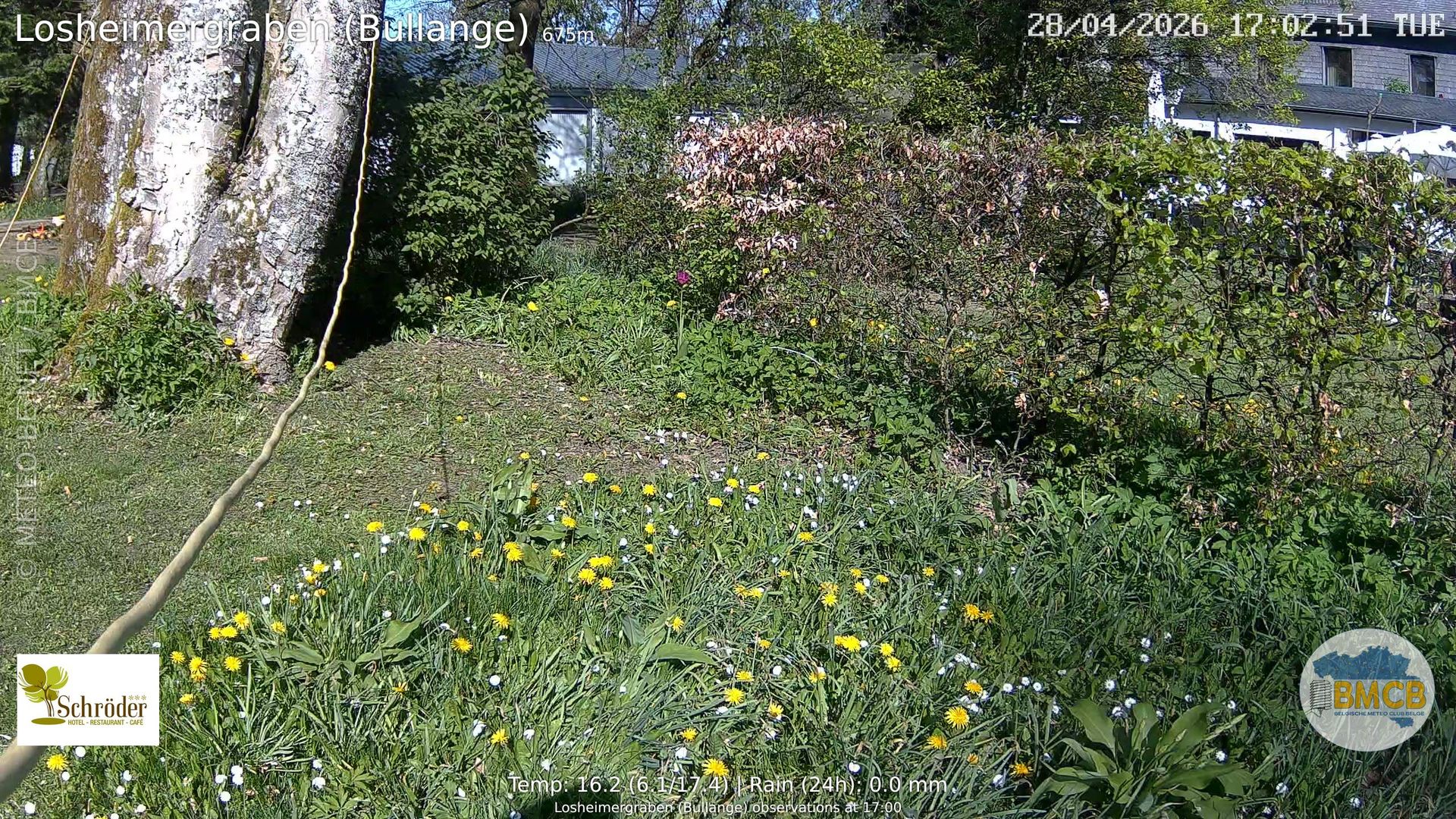 Traffic Cam Bullingen