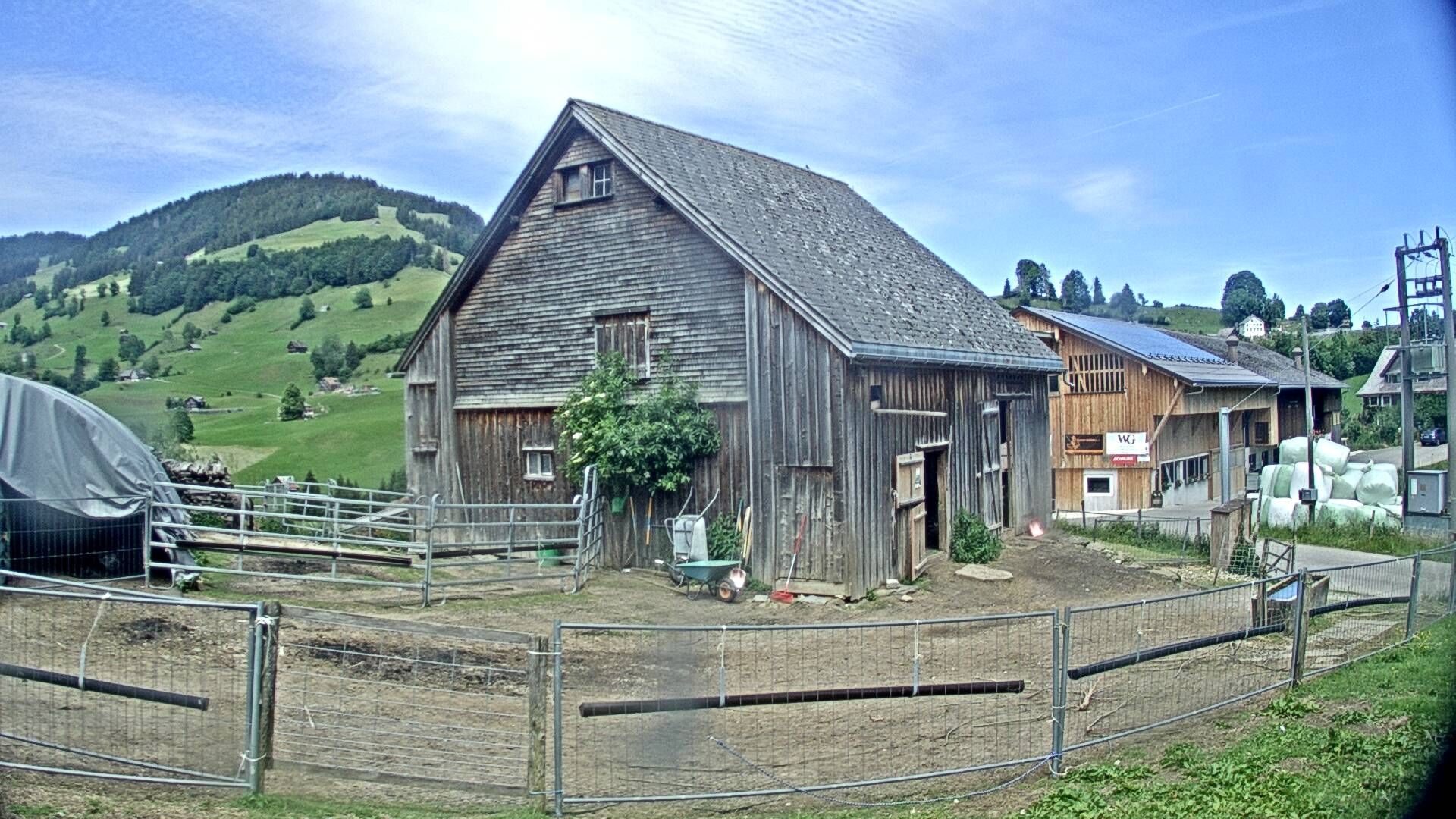 Nesslau: Stein: Toggenburg Alpakas