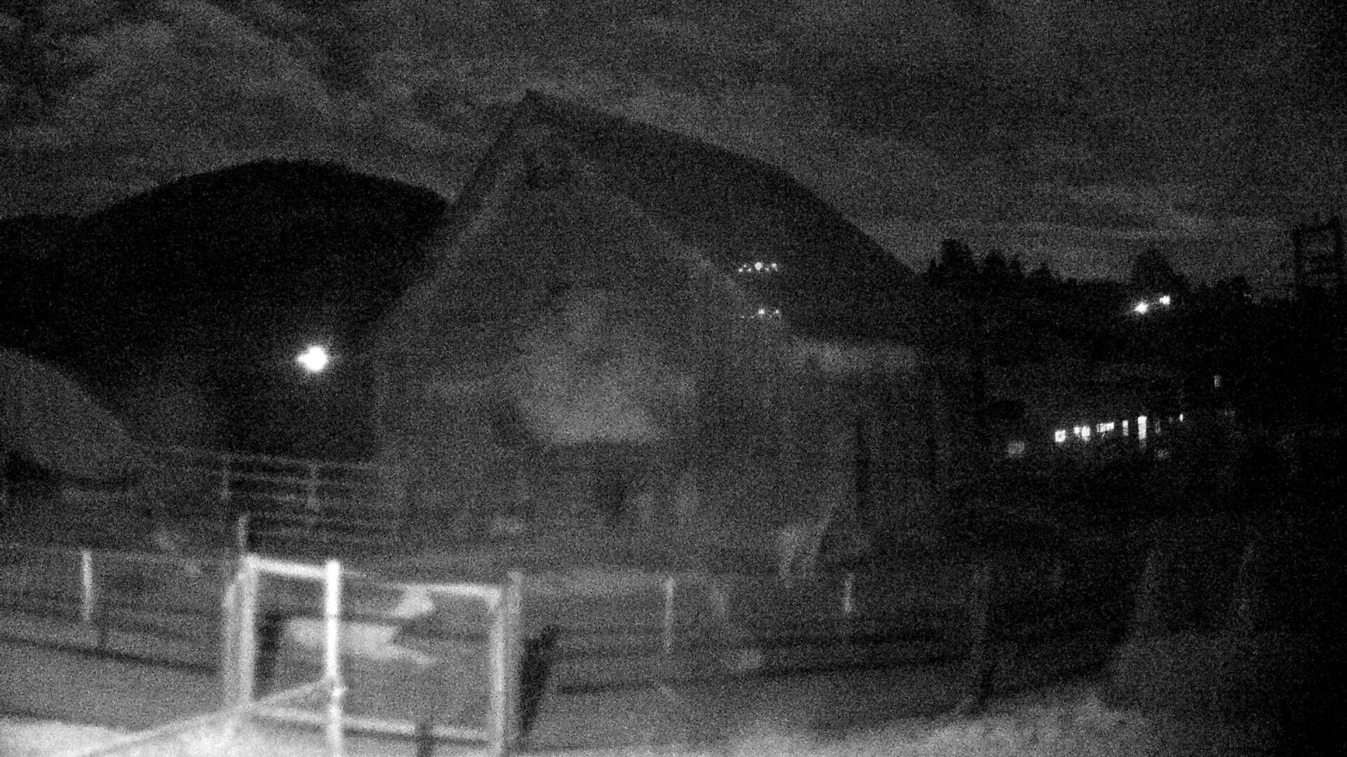Nesslau: Stein: Toggenburg Alpakas