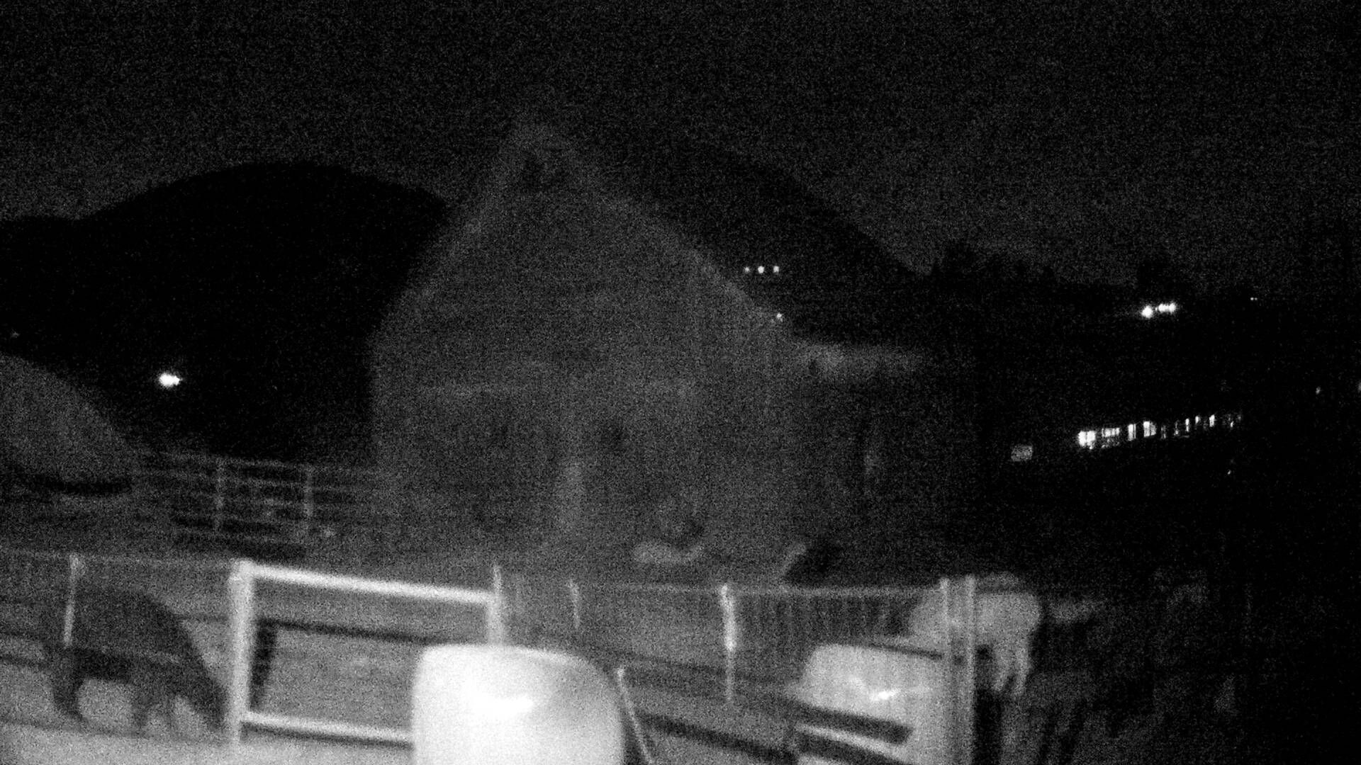 Nesslau: Stein: Toggenburg Alpakas