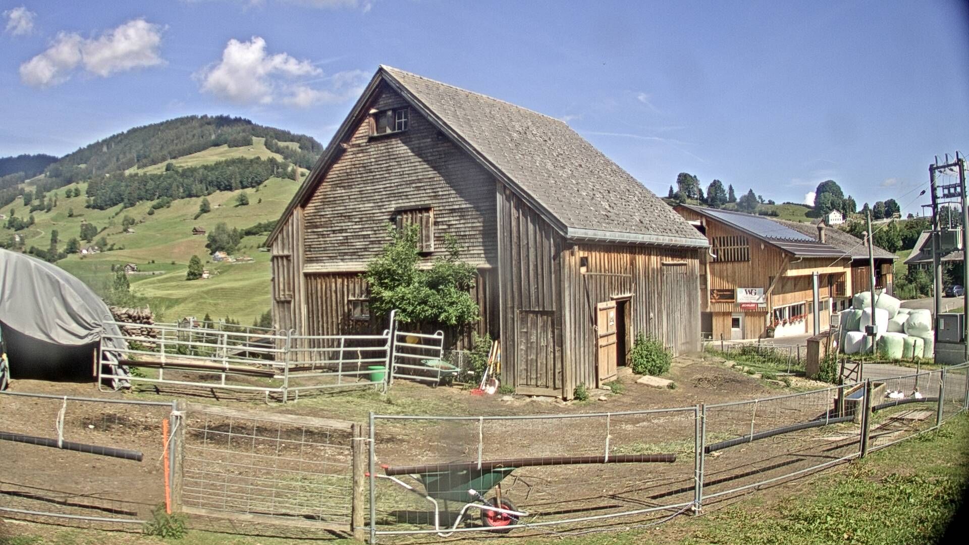 Nesslau: Stein: Toggenburg Alpakas
