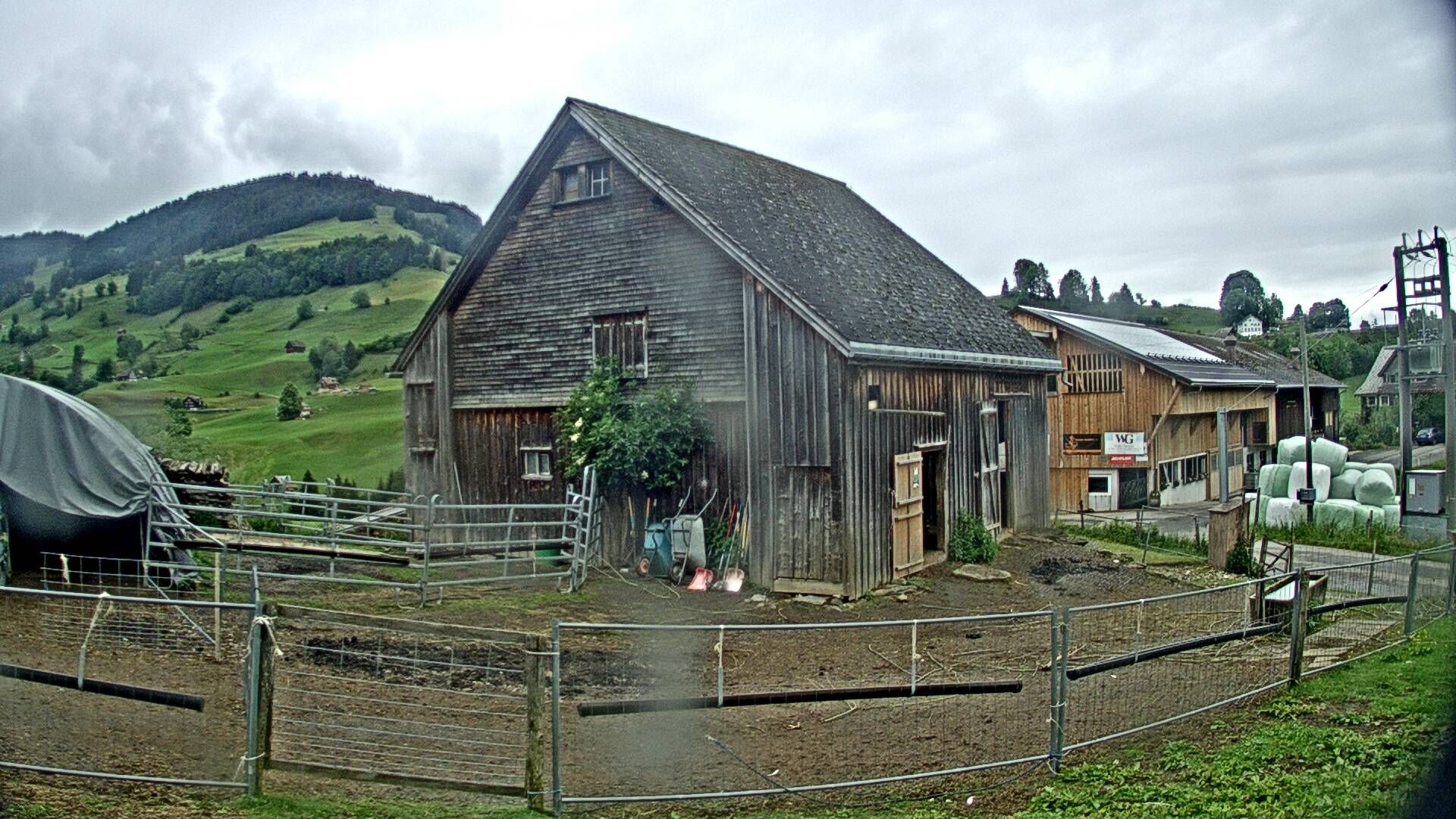Nesslau: Stein: Toggenburg Alpakas
