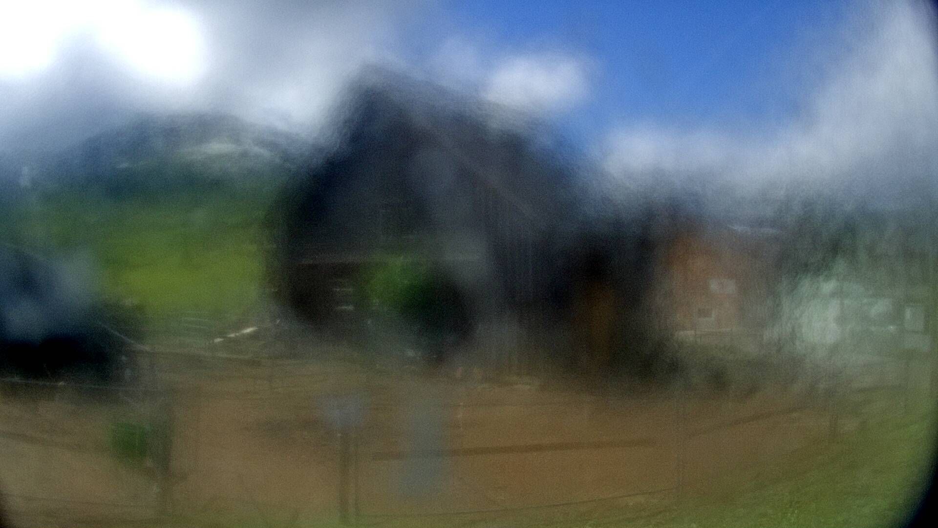 Nesslau: Stein: Toggenburg Alpakas