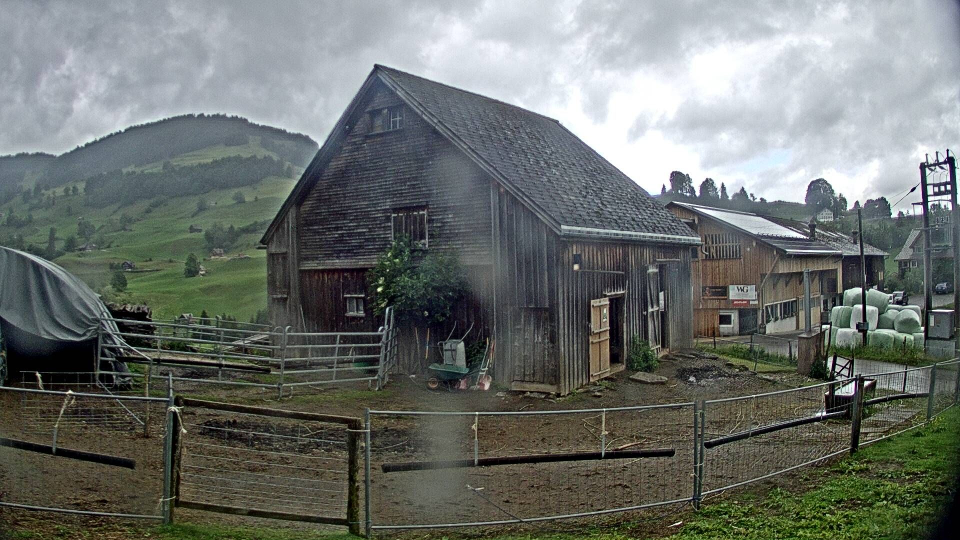 Nesslau: Stein: Toggenburg Alpakas