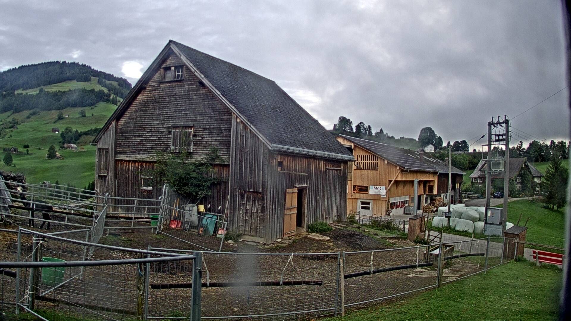 Stein: Toggenburg Alpakas