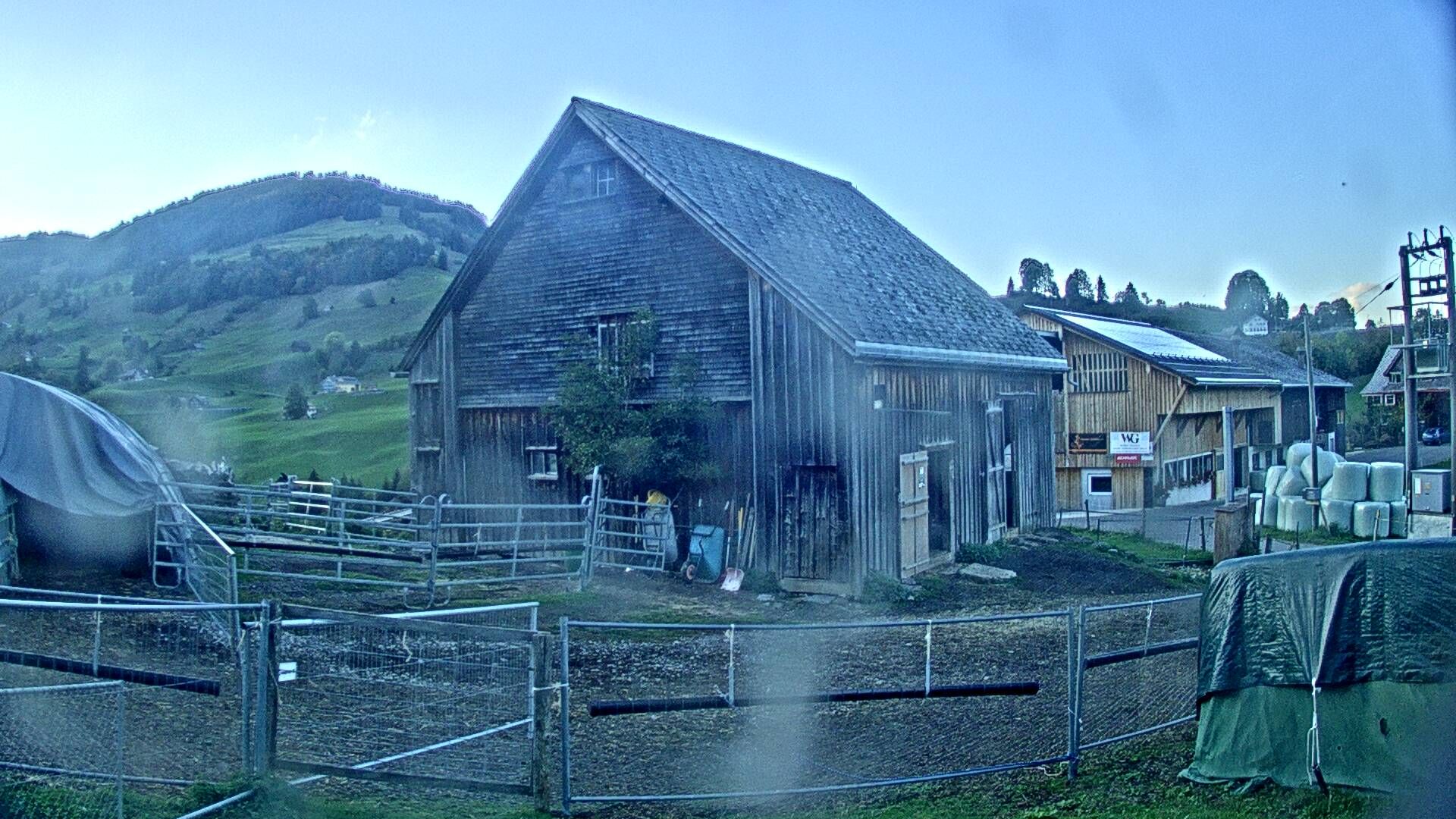 Nesslau: Stein: Toggenburg Alpakas
