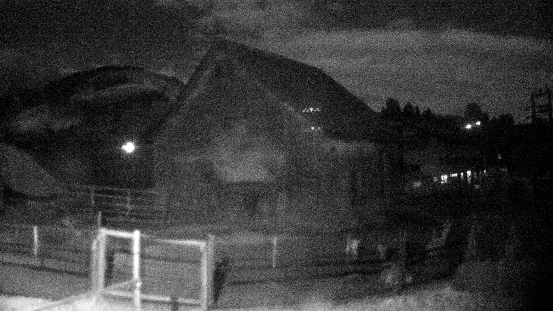 Nesslau: Stein: Toggenburg Alpakas