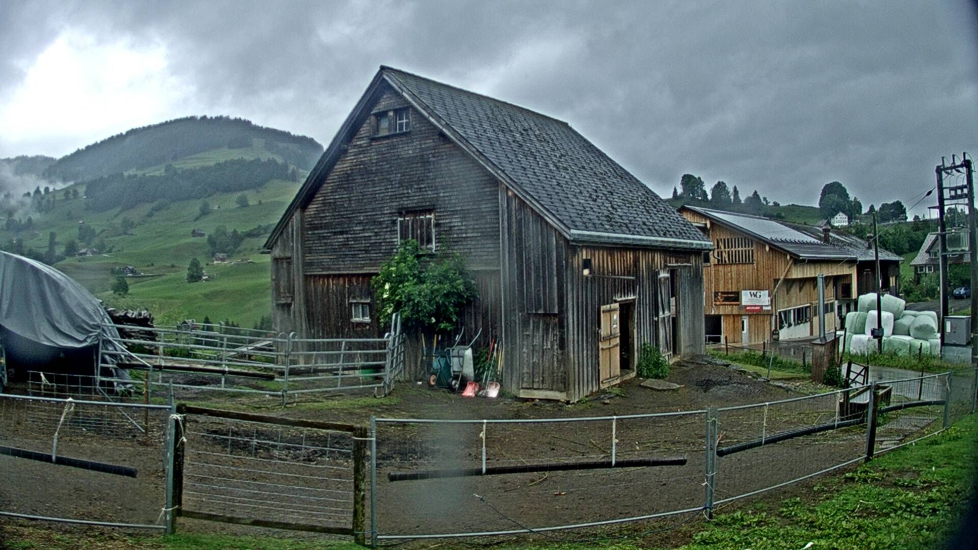 Nesslau: Stein: Toggenburg Alpakas