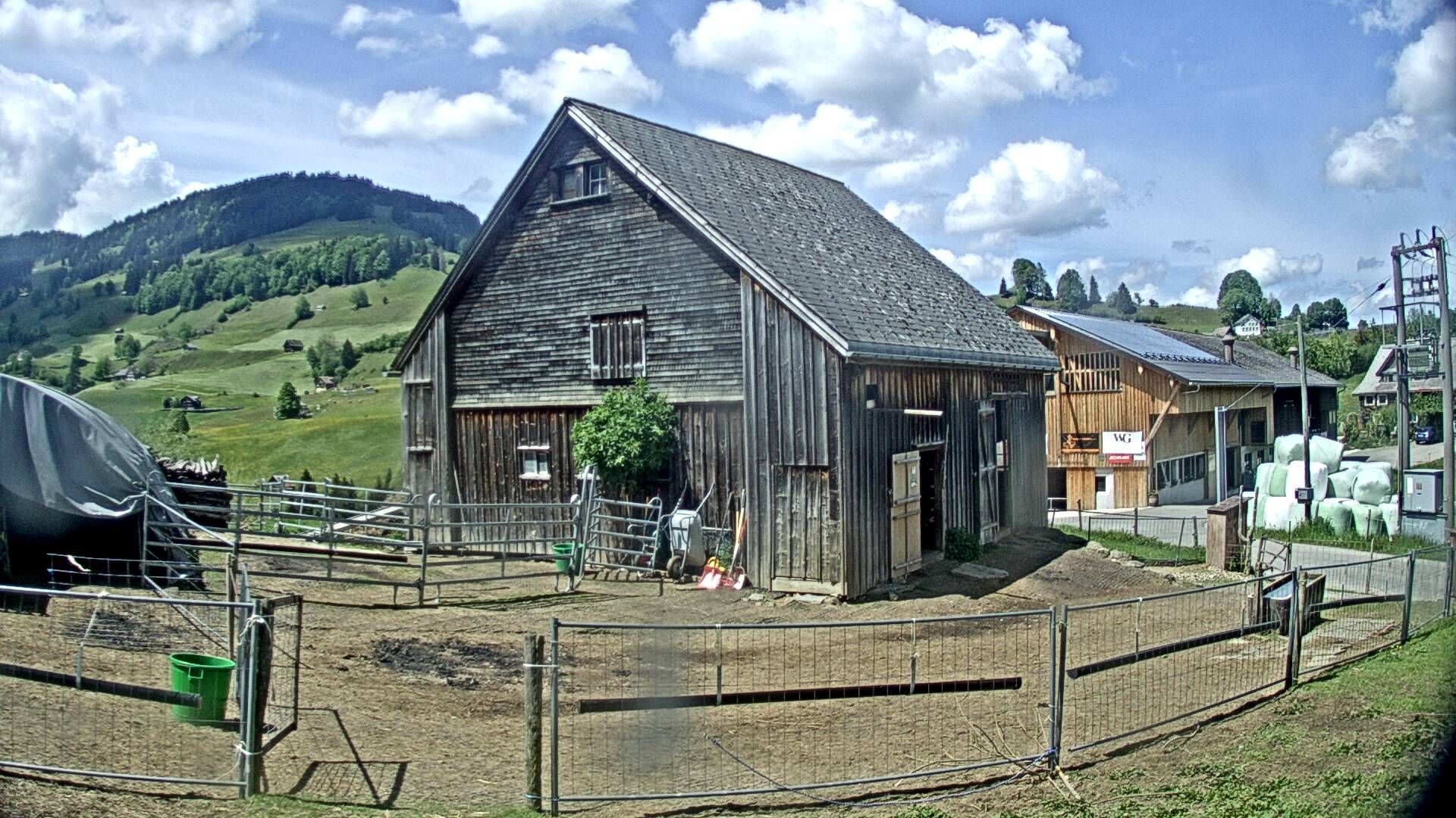 Nesslau: Stein: Toggenburg Alpakas