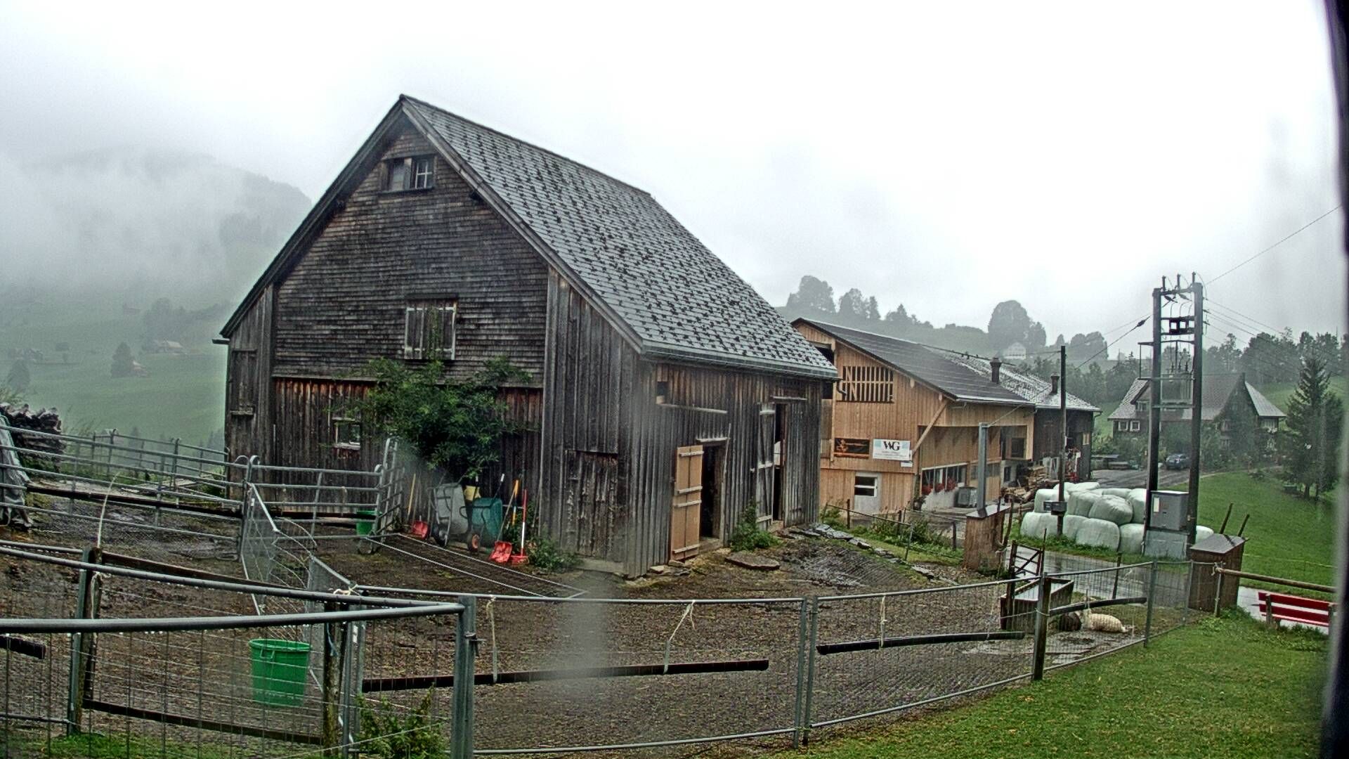 Stein: Toggenburg Alpakas