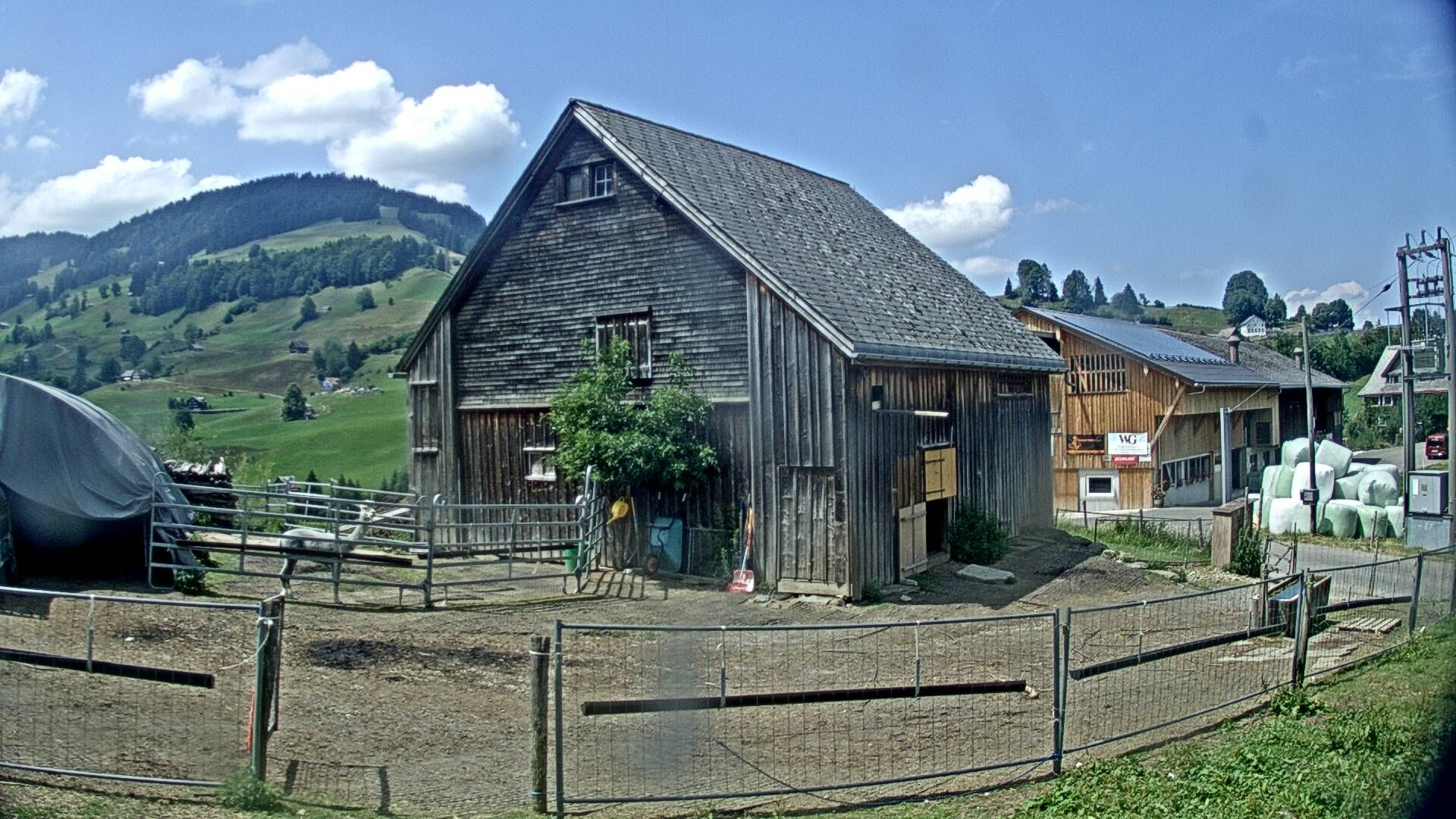 Nesslau: Stein: Toggenburg Alpakas