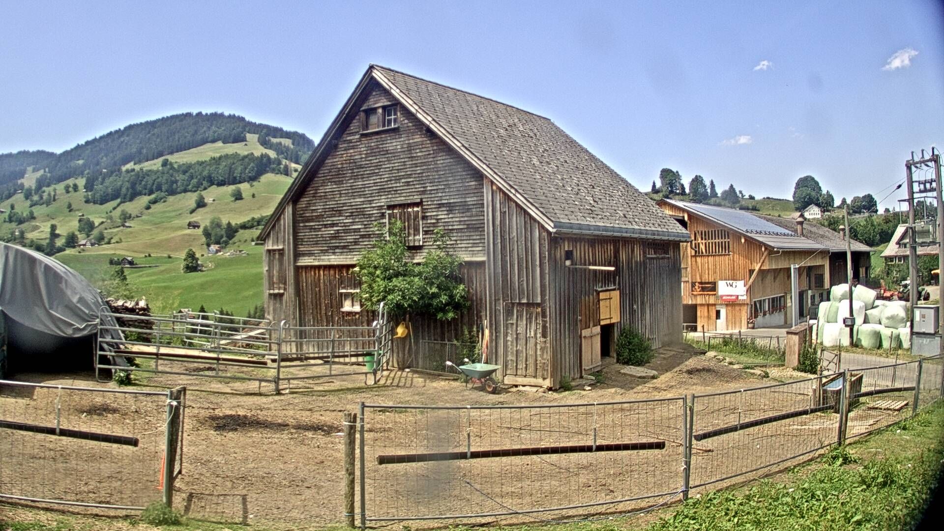 Nesslau: Stein: Toggenburg Alpakas