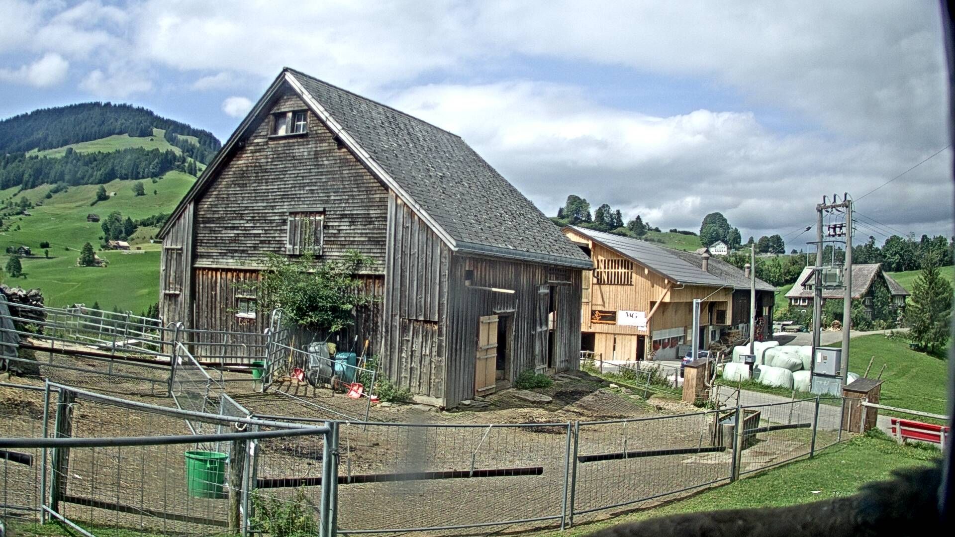 Stein: Toggenburg Alpakas