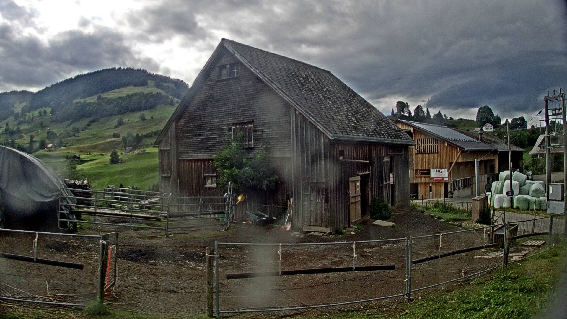 Nesslau: Stein: Toggenburg Alpakas