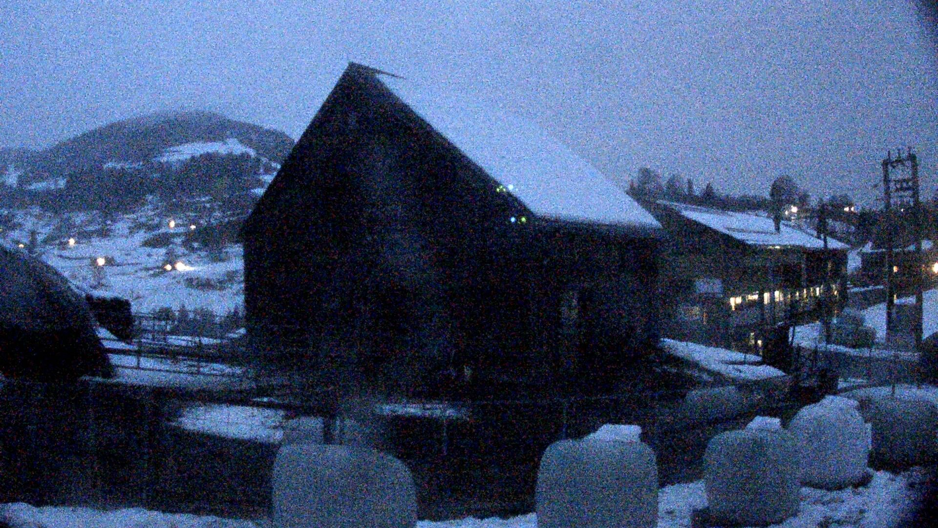 Stein: Toggenburg Alpakas