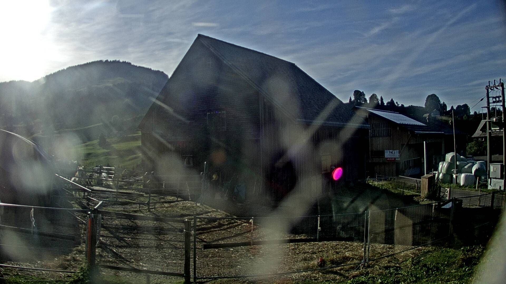 Nesslau: Stein: Toggenburg Alpakas