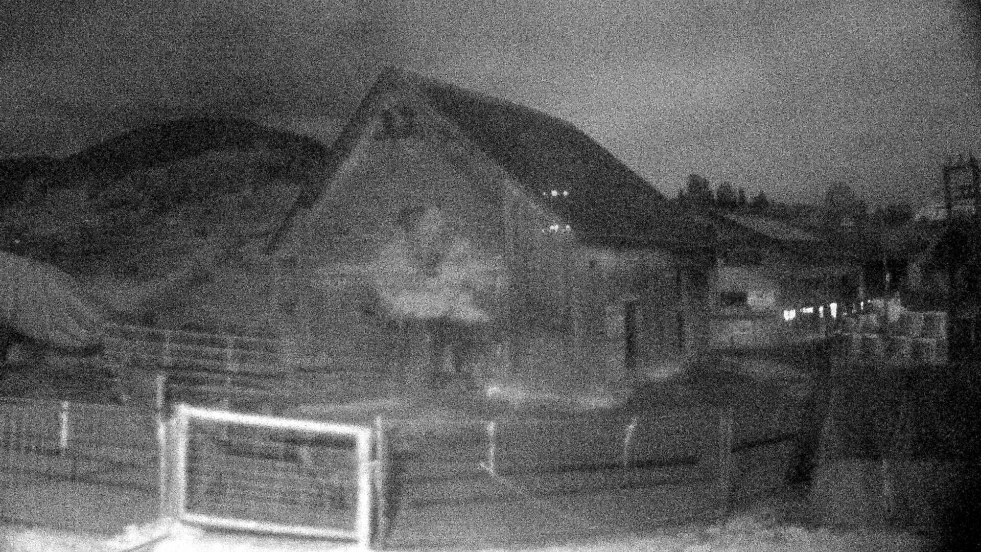 Nesslau: Stein: Toggenburg Alpakas