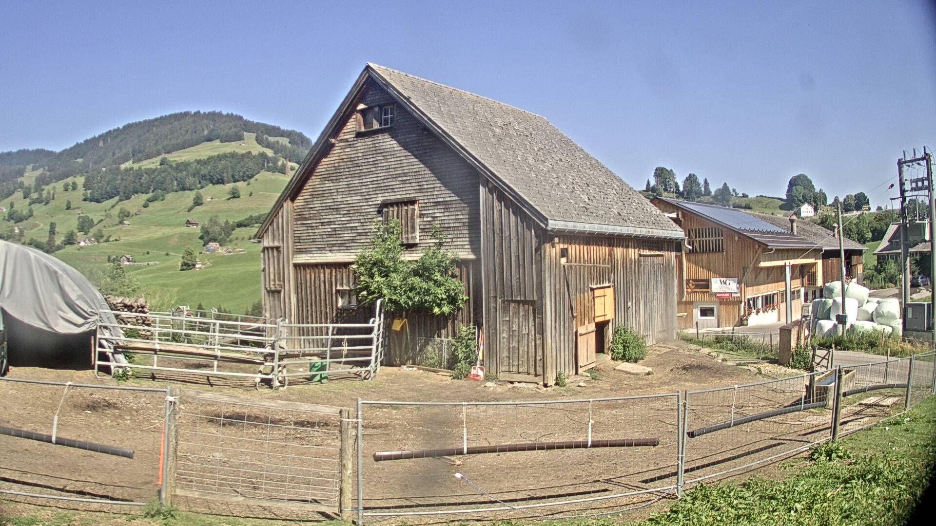 Nesslau: Stein: Toggenburg Alpakas
